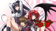 High School DxD is one of the fan service anime with a decent plot (Image via TNK)